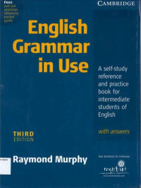 English Grammar in Use