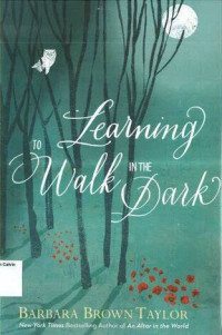 Learning to Walk in the Dark