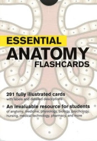 Essential Anatomy Flashcards