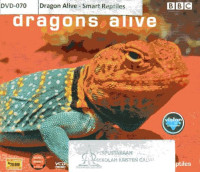 Dragon Alive: Smarts Reptiles