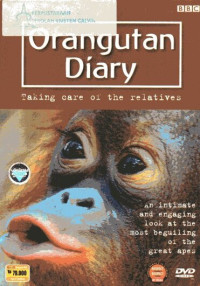 Orangutan Diary: Taking Care of The Relatives