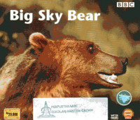 Big Sky Bear