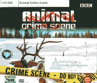 Animal Crime Scene