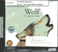 Wildlife Specials: Wolf - The Legendary Outlaw