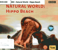 Natural World: Hippo Beach