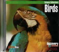 Birds Science Collections: Discovery Channel School: Science Collections: Learning Pack