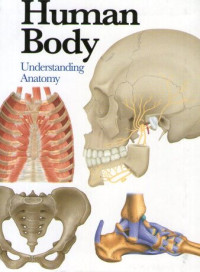 Human Body: Understanding Anatomy